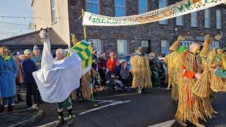 The Wran, Dingle, Co Kerry. 26 December 2022.