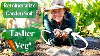 Remineralizing Garden Soil for Healthier Plants and Tastier Vegetables