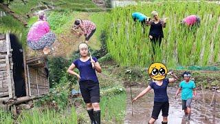 My dad scolded me while catching fish ️ //farming tuensang northeast // Day 1..