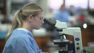 Program Spotlight: Medical Laboratory Science