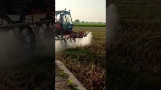 spay with farmer  in India #trend #youtube #agriculture #farmers #nature #wheatcrops #amazing 