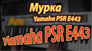 Мурка on Yamaha PSR E443 Аккорды, ноты