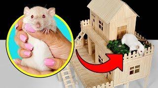 How to Make Popsicle Stick House for Rat