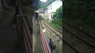 DHR Darjeeling Himalayan Railway