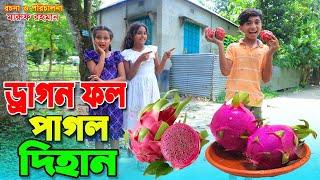 ড্রাগন ফল পাগল দিহান | Dragon fol pagol dihan | Fairy Angel Story In Bengali | bangla natok |