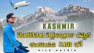 Kashmir Travel Vlog Telugu | Sonmarg | Dal Lake | Wild Matrix | Travel Full Details 2024