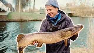 Shore fishing: Targeting large pike in winter