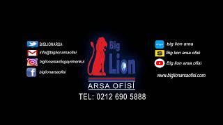 Big Lion Arsa Ofisi Gayrimenkul