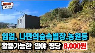 259-1 금액다운) 산림관리사(농막) 전기,수도들어오는 임야  #산 #임야매매 #전원주택지