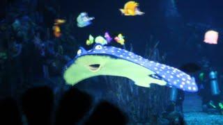 The Seas with Nemo & Friends - Ride POV  - EPCOT -Walt Disney World, Florida