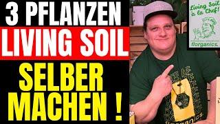 LIVINGSOIL Experte Flo zeigt wie man richtiges Living Soil macht Ein Beet für 3 Pflanzen  Florganics