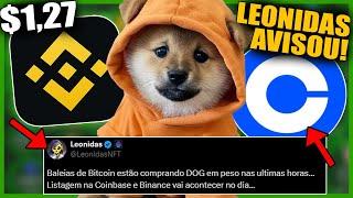 URGENTE!! DOG GO TO THE MOON - LEONIDAS FALOU LISTAGEM BINANCE e COINBASE! NOTICIA CRIPTOMOEDA MEME