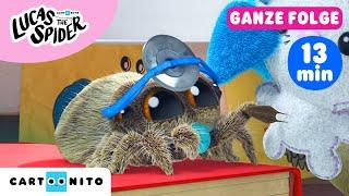 Lucas die Spinne | Dr. Lucas | Stachliger Freund | Cartoonito