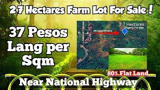 V#115 Farm lot For Sale2.7 Hectares ️1M only. Near National Highway  Quezon. Docs taxdec