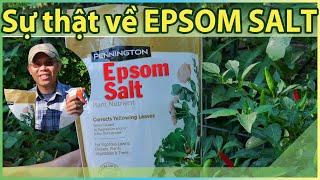 Sự thật về EPSOM SALT trong làm vườn.