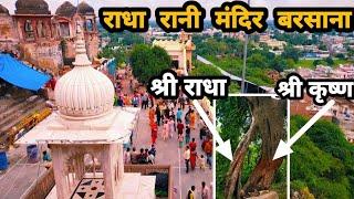 श्री लाडली जी महाराज मन्दिर बरसाना ||राधा रानी मंदिर बरसाना संपूर्ण दर्शन||Radha Rani mandir barsana