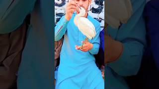 Funny Vlog "Tayyab A25"love for  ️#short #shorts