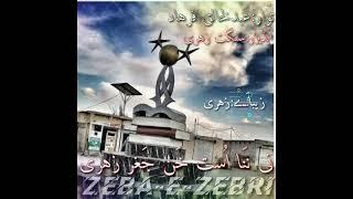 Biravi status Zehri