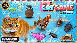 CAT GAMES | Keep Your Cat Happy and Healthy with Fun Episode 1 | 3 HOURS 