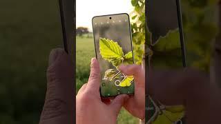 Best HD Camera App with Zoom for Cinematic Photos!