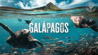 The Most Mind-Blowing Islands on Earth | Galápagos