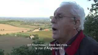 7. Gaillac : faire du bio ! Faire du terroir ?