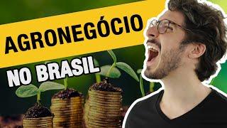 A IMPORTÂNCIA DO AGRONEGÓCIO NO BRASIL | MANUAL DO BRASIL