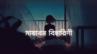 মায়াবন বিহারিণী—by Somlata / Bangla but aaesthetic with lo—fi lyrics | Imran Lofi Music