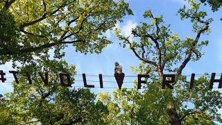 Tivoli Friheden amusement park in Aarhus, Denmark