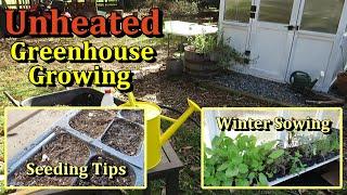 Growing Plants in an Unheated Greenhouse (Winter - Start With Perennial Flowers & Herbs Ep-1)