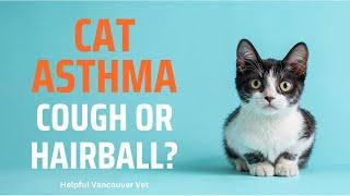 Cat asthma