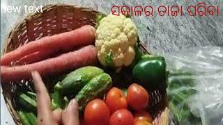 new year ରେ ମୁଁ କଣ କଣ ସବୁ କଲି //  odia vlog # manisha life vlogs