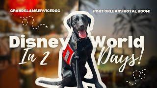 1 Night at Disney | Service Dogs, Port Orleans Royal Room, Happily Ever After.