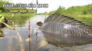 REKOR..!! Mancing liar full ikan nila babon jacpot nya mengerikan