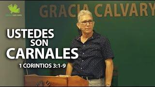 USTEDES SON CARNALES - 1 CORINTIOS 3:1-9 | GRACIA CALVARY CHAPEL