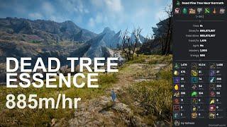 BDO Per Hour Money | Gathering - Dead Tree Essence