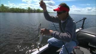 AnglingBuzz: Walleye Seasonal Location GPS Mapping