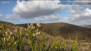 LeoMar: New land preserve in North County San Diego
