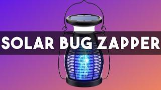 Zap Away Pesky Bugs With This Solar-Powered Bug Zapper! #bugzapper #solarlantern #solarbugzapper
