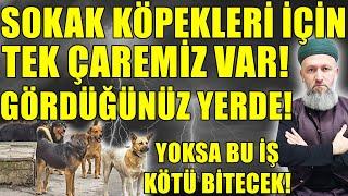 SOKAK KÖPEKLERİ İÇİN BUNU YAPMAKTAN BAŞKA ÇARE YOK! Hüseyin ÇEVİK