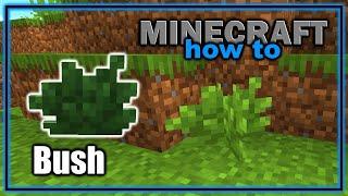 Everything You Need to Know About the Bush (1.21.5+) | Easy Minecraft Tutorial