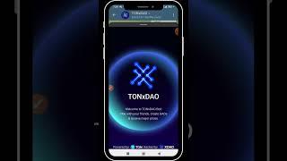 TONxDAO Airdrop: Things you need to Know about(DAOprofit, Syndicate, Tasks)