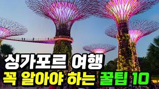 싱가포르 여행 준비 모르고 가면 안되는 꿀팁! | 여행비용절약 TIP | 준비물 | 입국 서류 | 교통 카드 | 여행 일정 동선 짜는 법 | 유용한앱 | 추천 선물 기념품