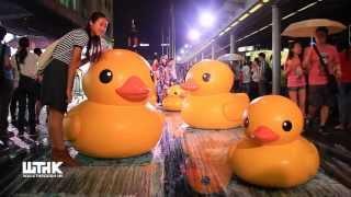 Rubber Duck Project in Hong Kong - Walkthrough HK