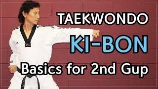  Taekwondo 2nd Gup Kibon (Basic Blocks, Strikes and Thrusts) | TaekwonWoo