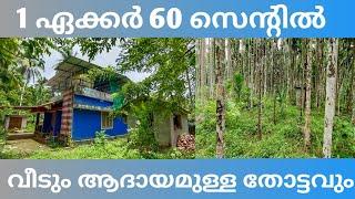 1 ഏക്കർ 60 സെന്റിൽ വീടും ആദായമുള്ള തോട്ടവും #kerala #hometour #realestate #plot #forsale #kasaragod