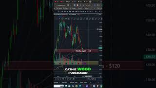 Cathie Wood Invests Heavily in AMD Stock for Long Term Gains #shorts