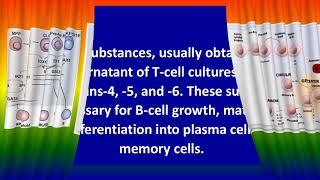 B-cell differentiation/growth factors