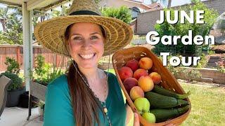 2023 June Vegetable Garden Tour & Harvest | Zone 9 | This is Just the Beginning