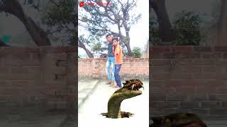 Anaconda  Funny VFX Video || Star Avitesh || #VfxIndia #vfx #shorts